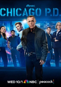 Полиция Чикаго (2014)